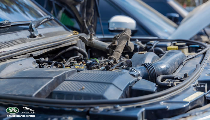 Service - automotive consultancy